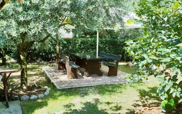 Apartment Tezak
