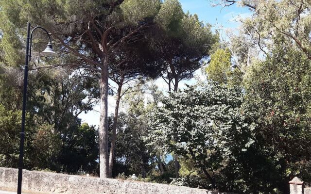 B&B Posidonia