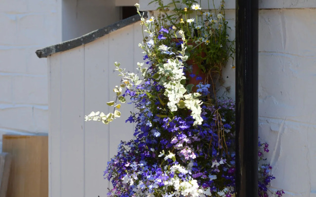 Orchard Lodge & Wolds Restaurant