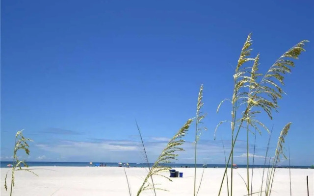 Bahia Vista 13-152 Two-bedroom Apartment