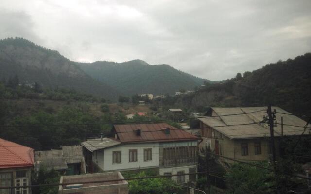 Gorgadze Apartment