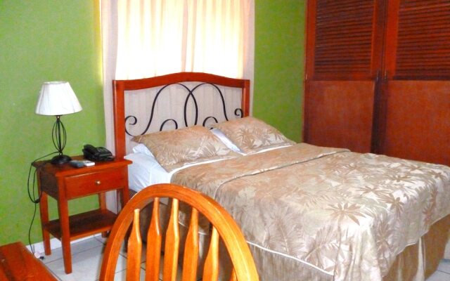 Hotel Green Frog Inn Bed and Breakfast
