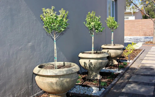 Green Kalahari Guesthouse