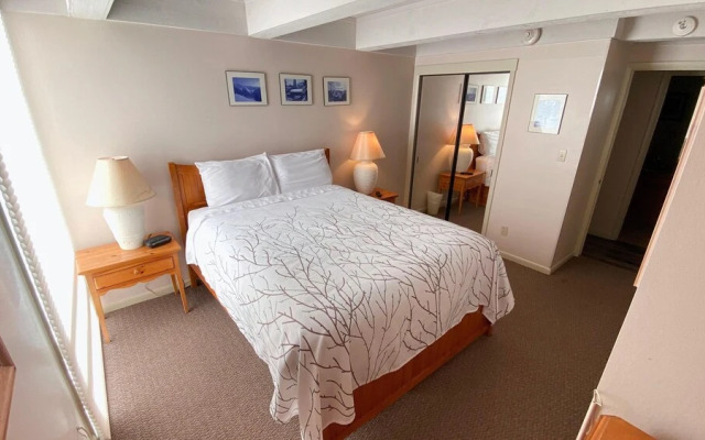 #105 Vail International