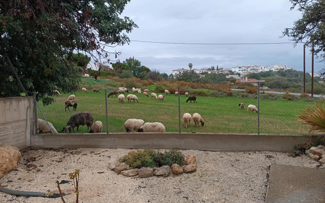 Kapsalia Holiday Villas