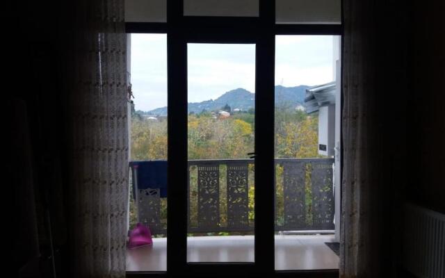 Guets house Chakvi
