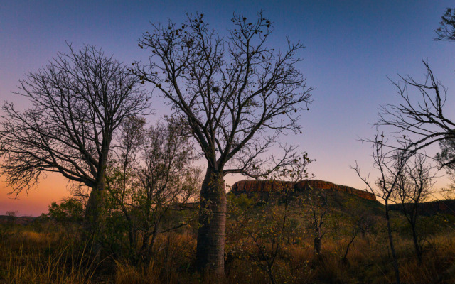 El Questro Wilderness Park - Kununurra office