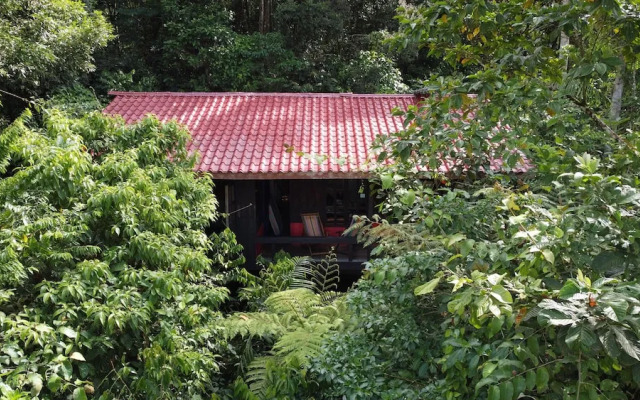 Yatama Ecolodge Sarapiqui