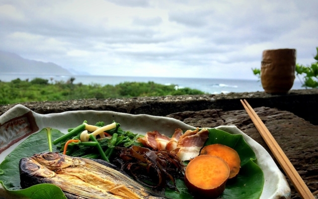 Reindeer Hualien 118