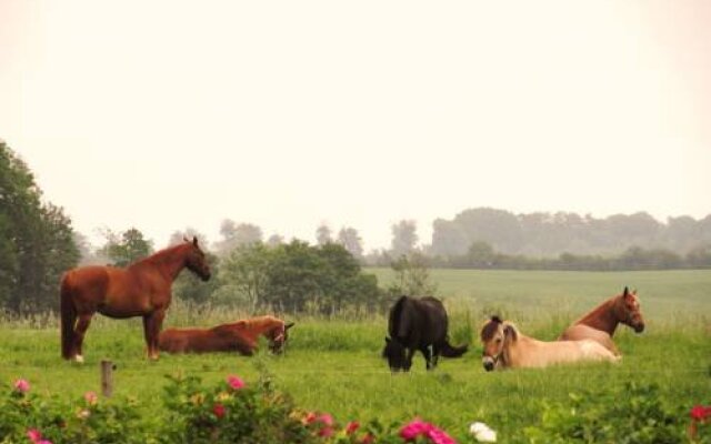 Plougheld Bed & Breakfast