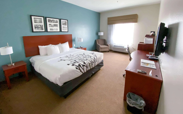 Sleep Inn And Suites Pearland - Houston South