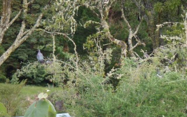 Blackberry Hill Farm