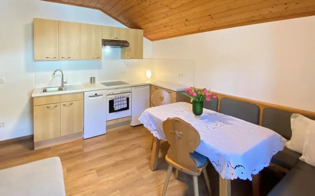 Apartment in Filzmoos Near Ski Amade