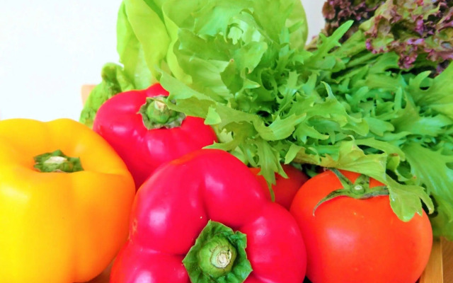 Marsu Xincheng SeaView Vegetarian B&B