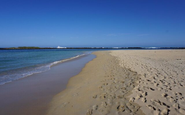 Ashmont Motor Inn & Apartments