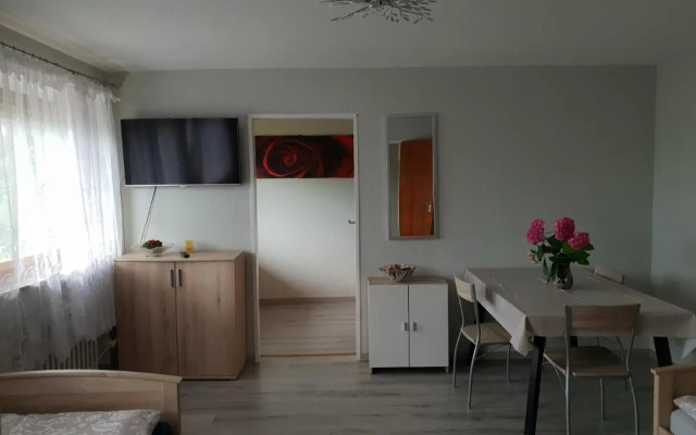 Mainzimmer Business Appartment - Monteurwohnung mit Burgblick
