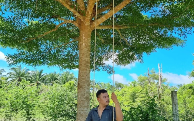 Brown Andaman  Krabi