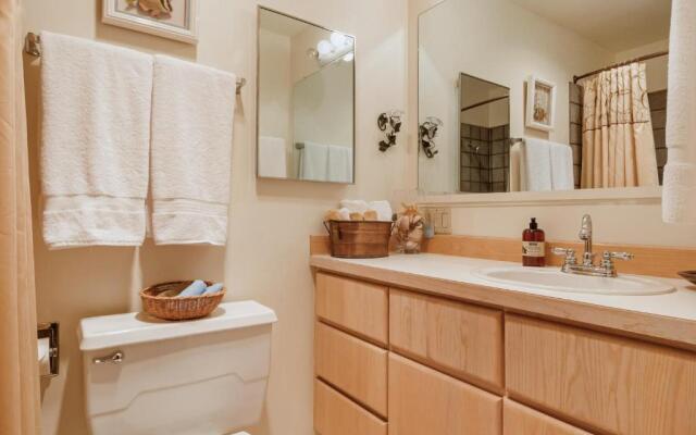 Friday Harbor Lights