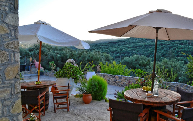 Villa Olive Tree