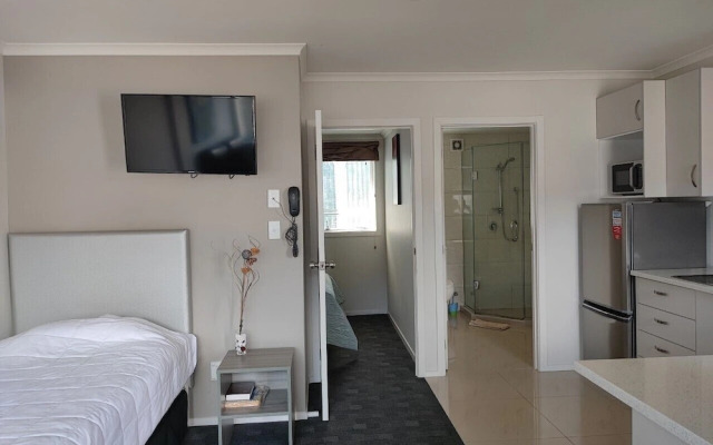 Auckland Phoenix Palm