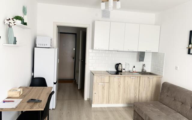 Апартаменты на улице Евгения Савкова 46/2