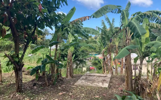 Stunning 2-bed Apartment in Grand Roy, Grenada