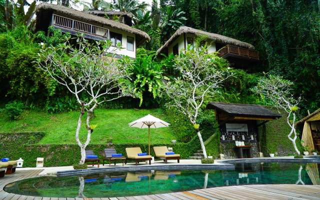 Nandini Jungle by Hanging Gardens