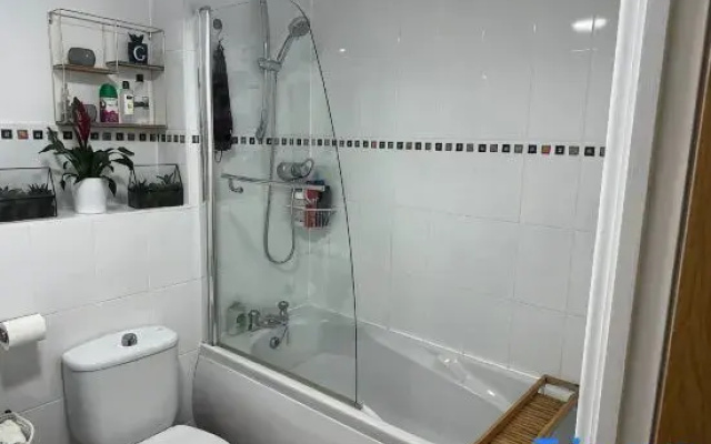 Entire flat by Principality Stadium (5 min walk)