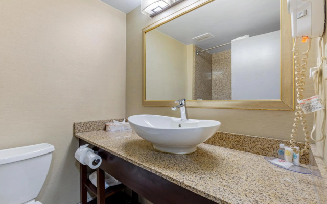 Comfort Inn Herndon - Reston