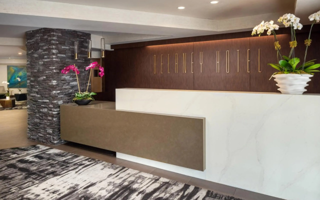 The Delaney Hotel