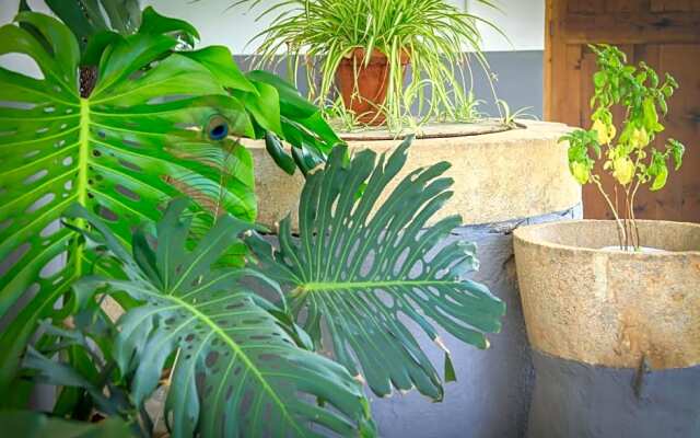 Sa Fita Backpackers - Albergue Juvenil