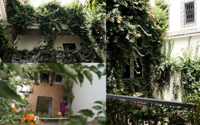 Bougainvillea Riad