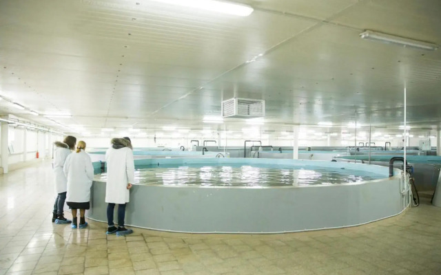 Apartment near KVINT