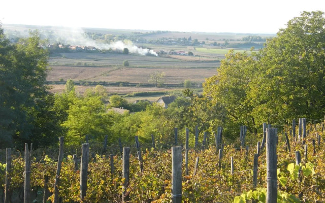 Ferienhaus Leitenhof