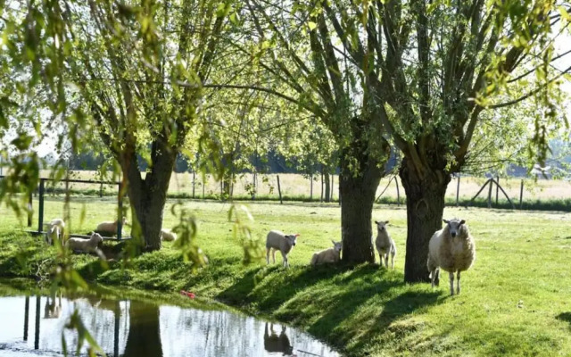 Studio in Nieuwpoort Near the Beach