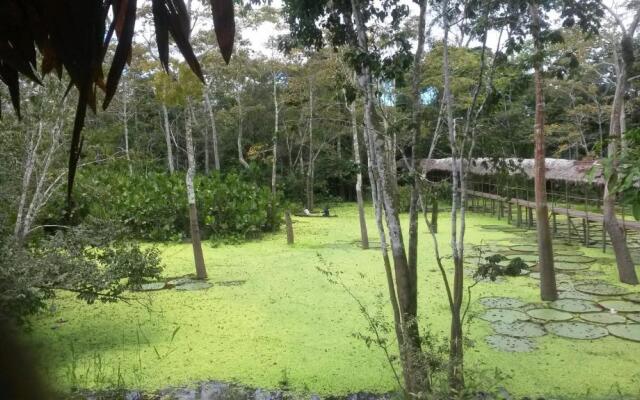 Avatar Amazon Lodge & Canopy Park