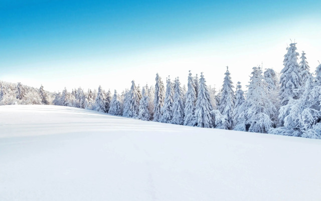 Bella Italia Dolomiti