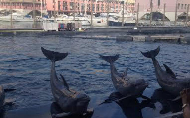 Alexandra Apartment Near Metro