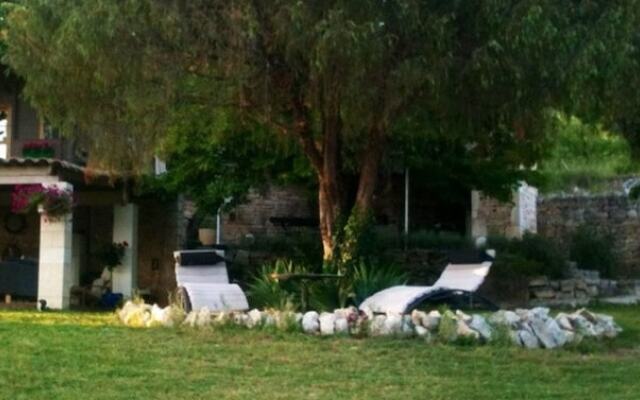 The Lotus Tree Guesthouse