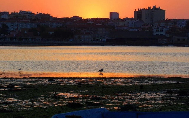 Beautiful 1-bed Apartment in Aldeia de Paio Pires