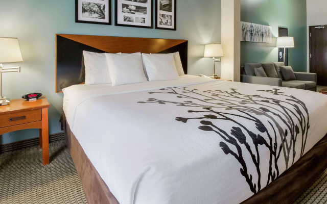 Sleep Inn & Suites Rapid City