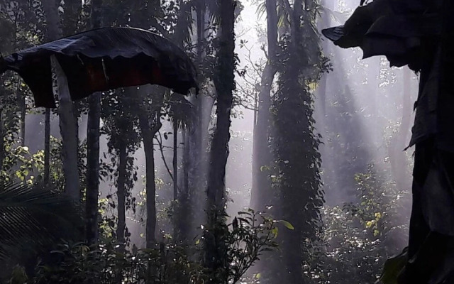 Room-wayanad Stay- The Coffee-suite
