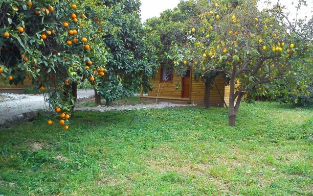 Yesil Bahce Bungalow - Ahsap Evler