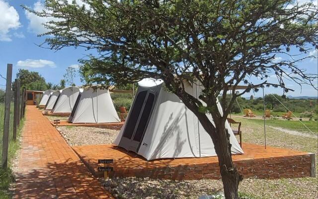 ZenZontle GlampingSMA By Rotamundos