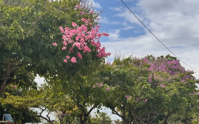 El Rey Motel & Restaurant