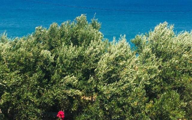 Aris House - Cretan Hospitality