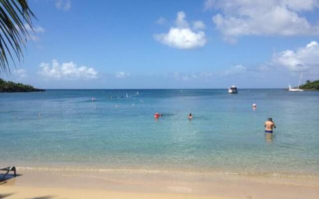 Dolphin Executive Hotels