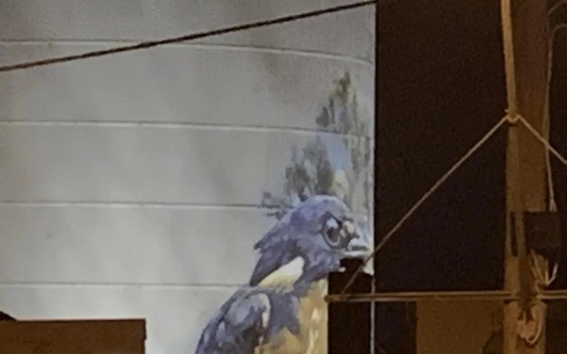 Rochester Wine Tavern