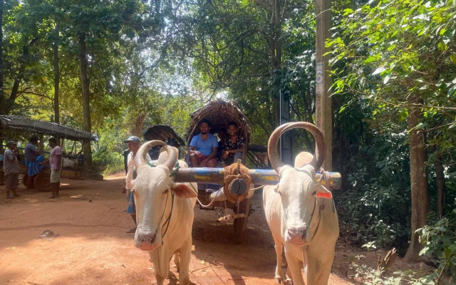 Suriya cottage Habarana