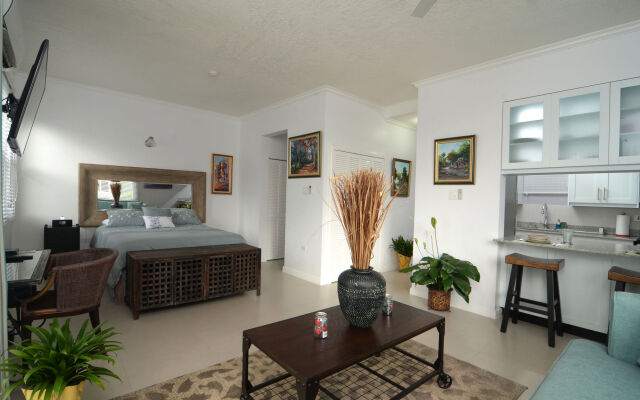 Kingsway New Kingston Guest Apartment II